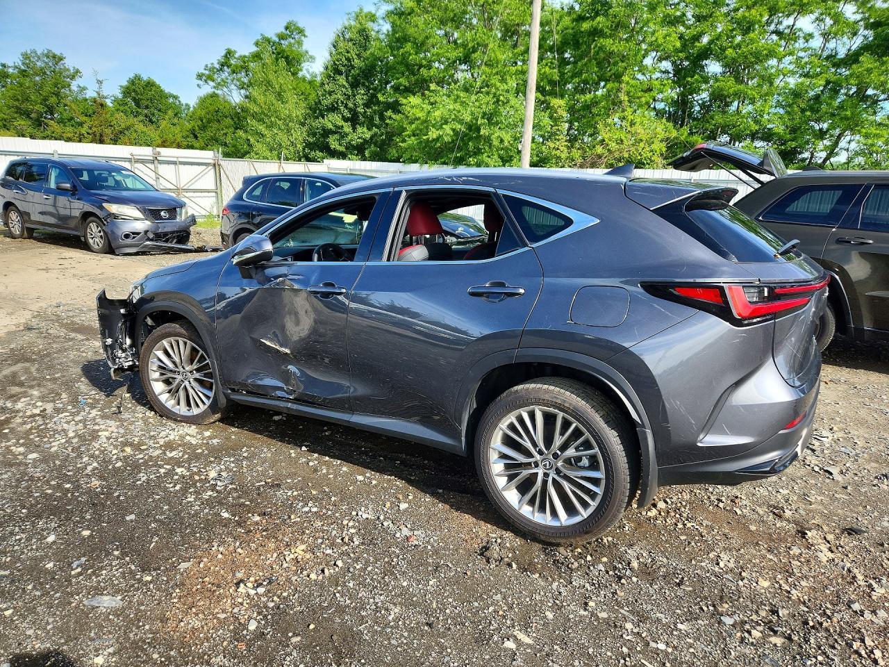 2025 Lexus Nx 350 Premium - Фото 2