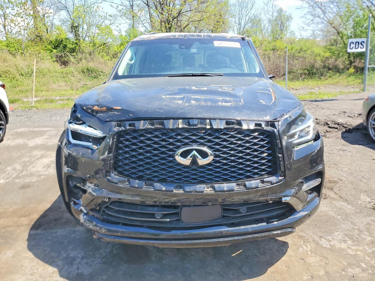 2024 Infiniti Qx80 Premium Select - Image 5