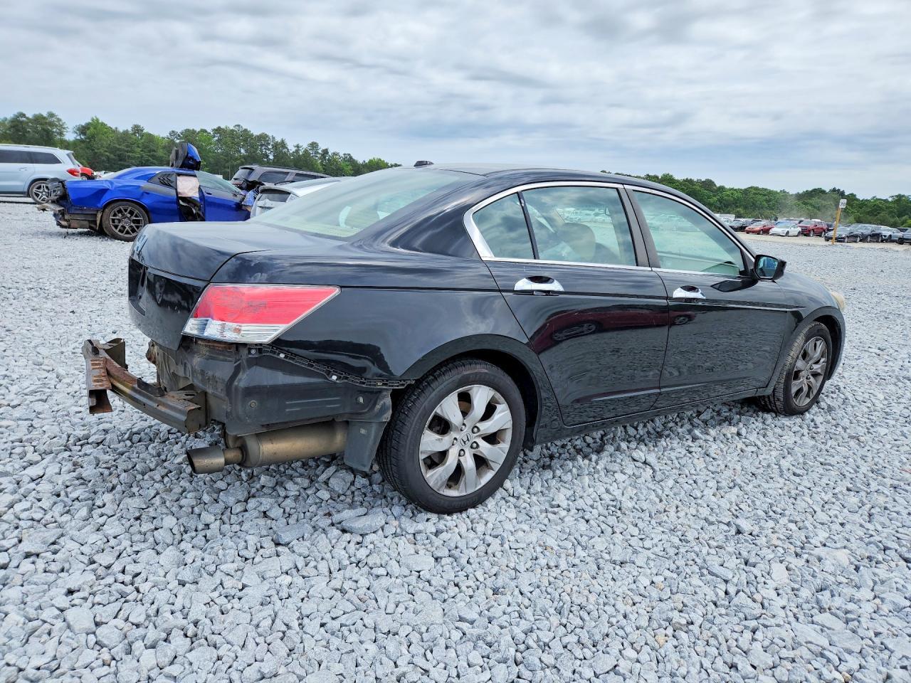 2010 Honda Accord Exl - Фото 3