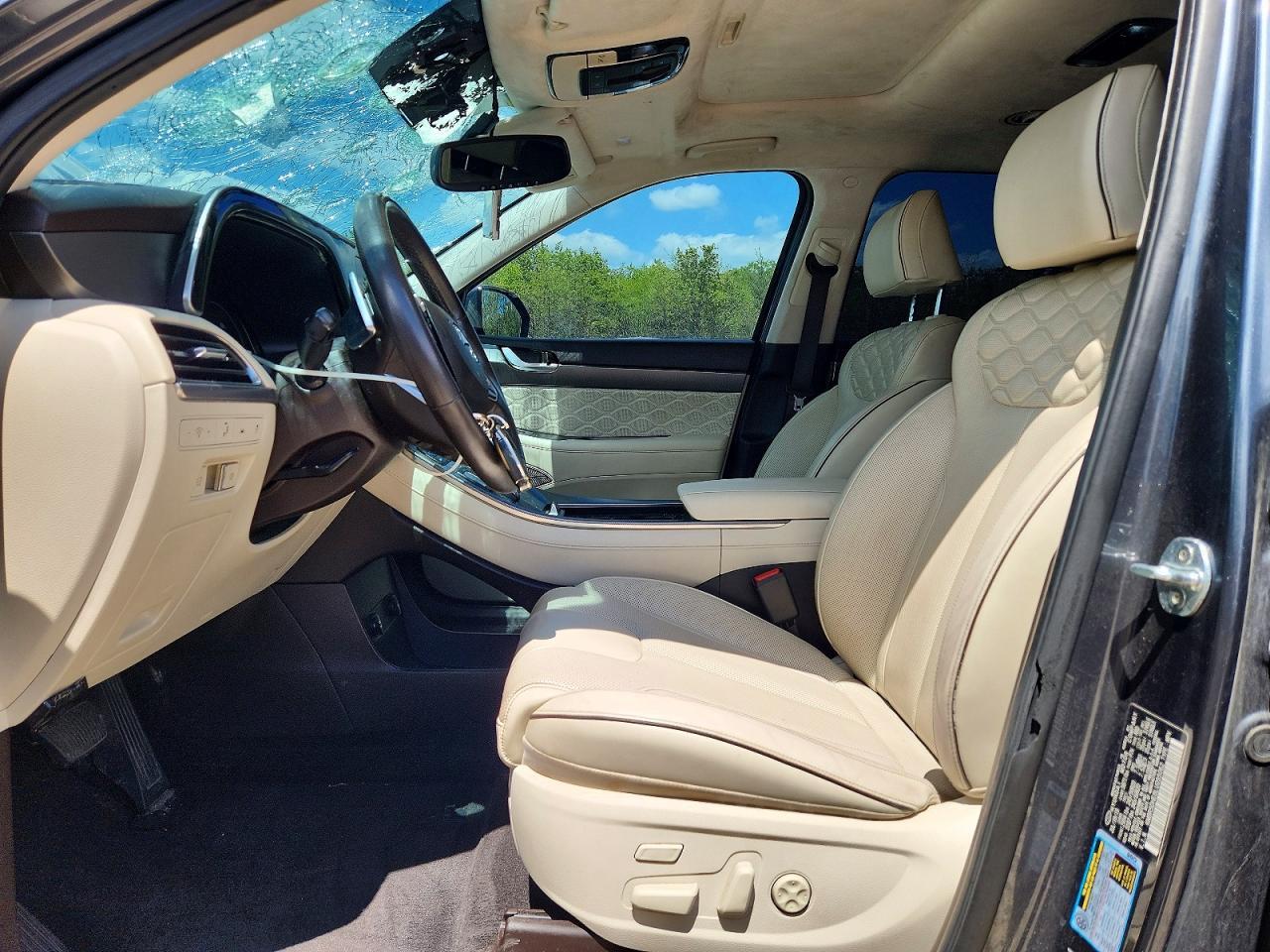 2020 Hyundai Palisade Limited - Фото 7