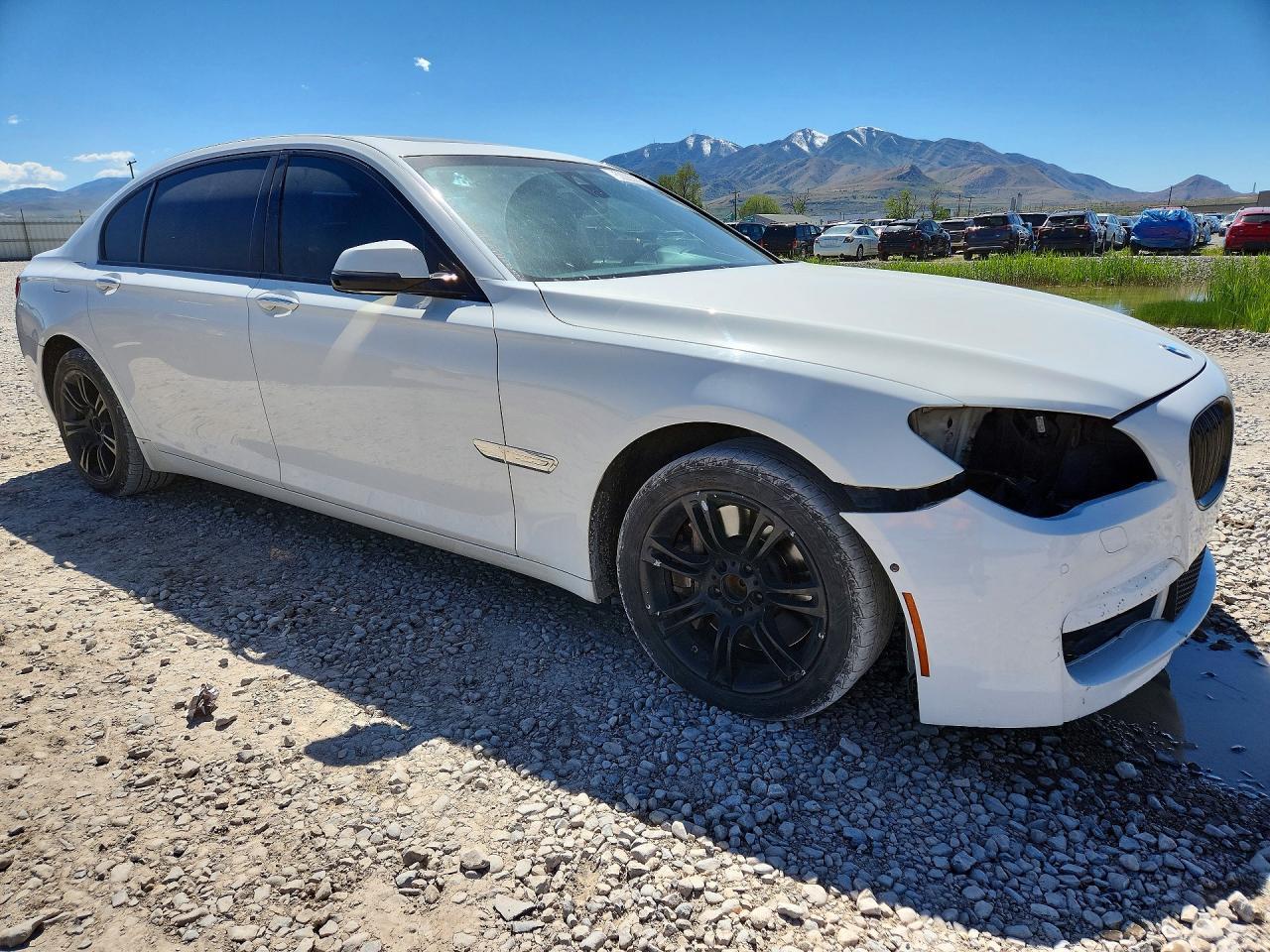 2013 BMW 750 Lxi - Фото 4