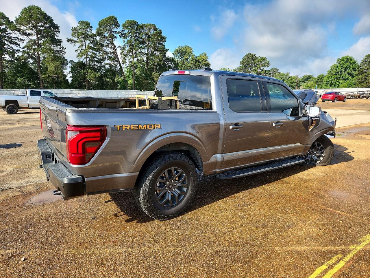 2025 Ford F150 Tremor - Image 3