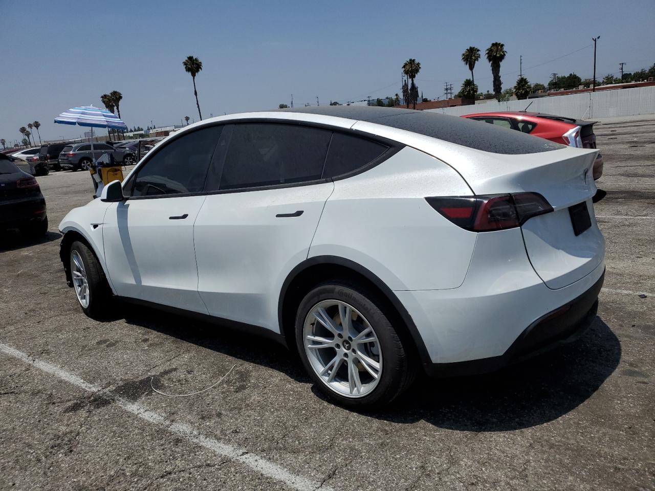 2023 Tesla Model Y - Фото 2