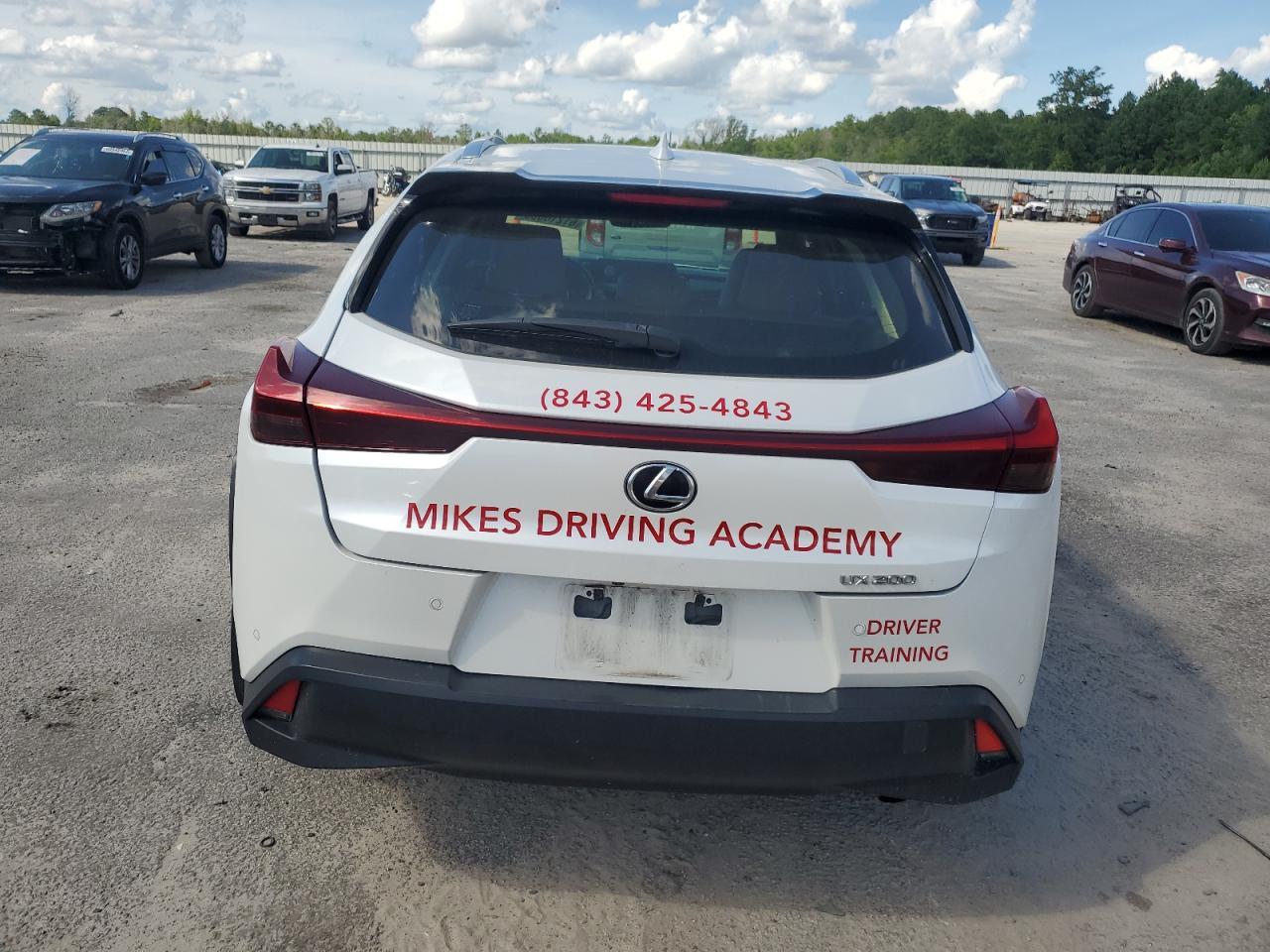 2020 Lexus Ux 200 - Image 6