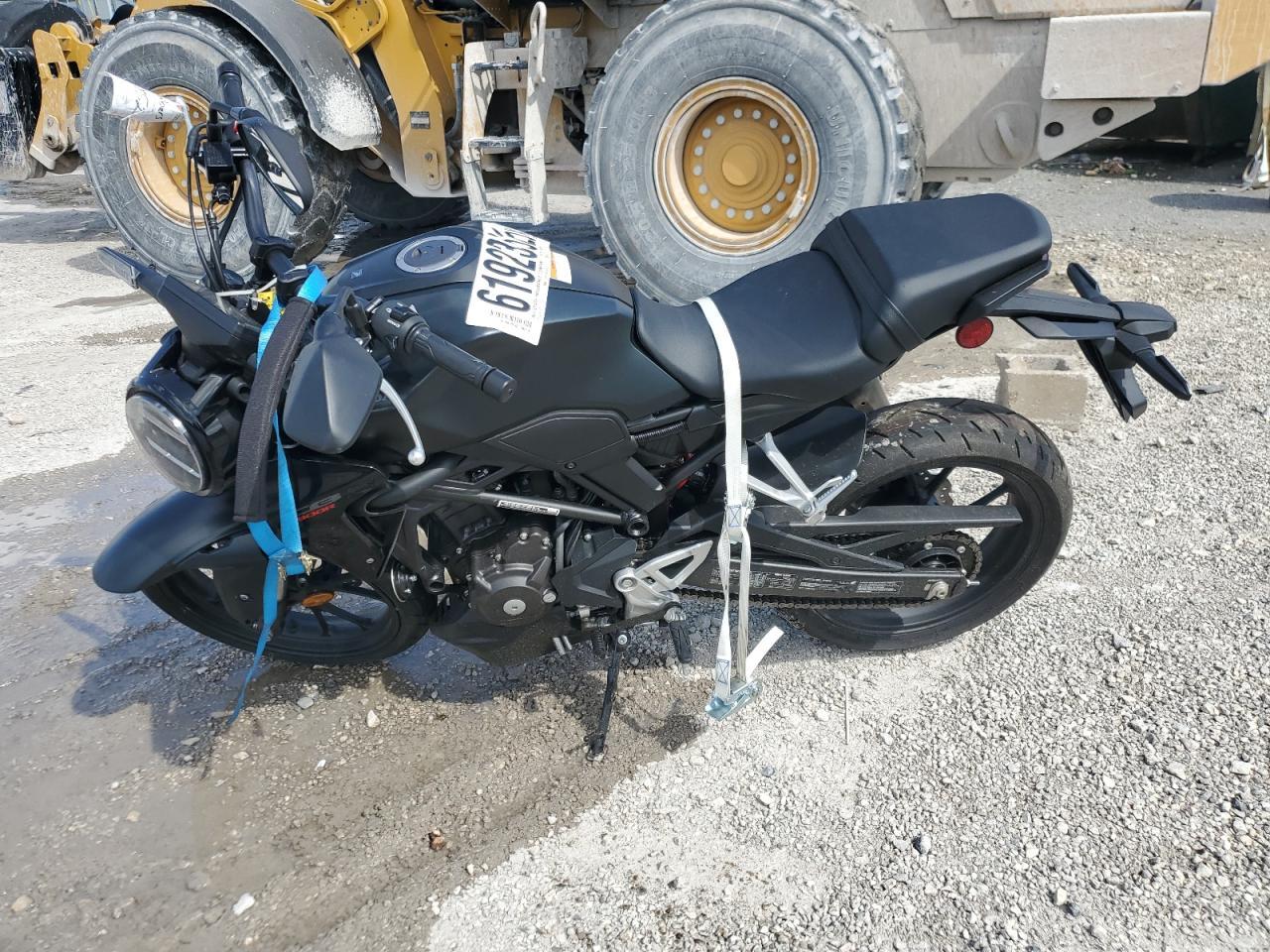2024 Honda Cbf300 Na - Фото 3