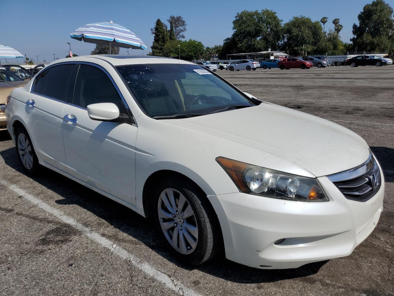 2011 Honda Accord Exl - Фото 4
