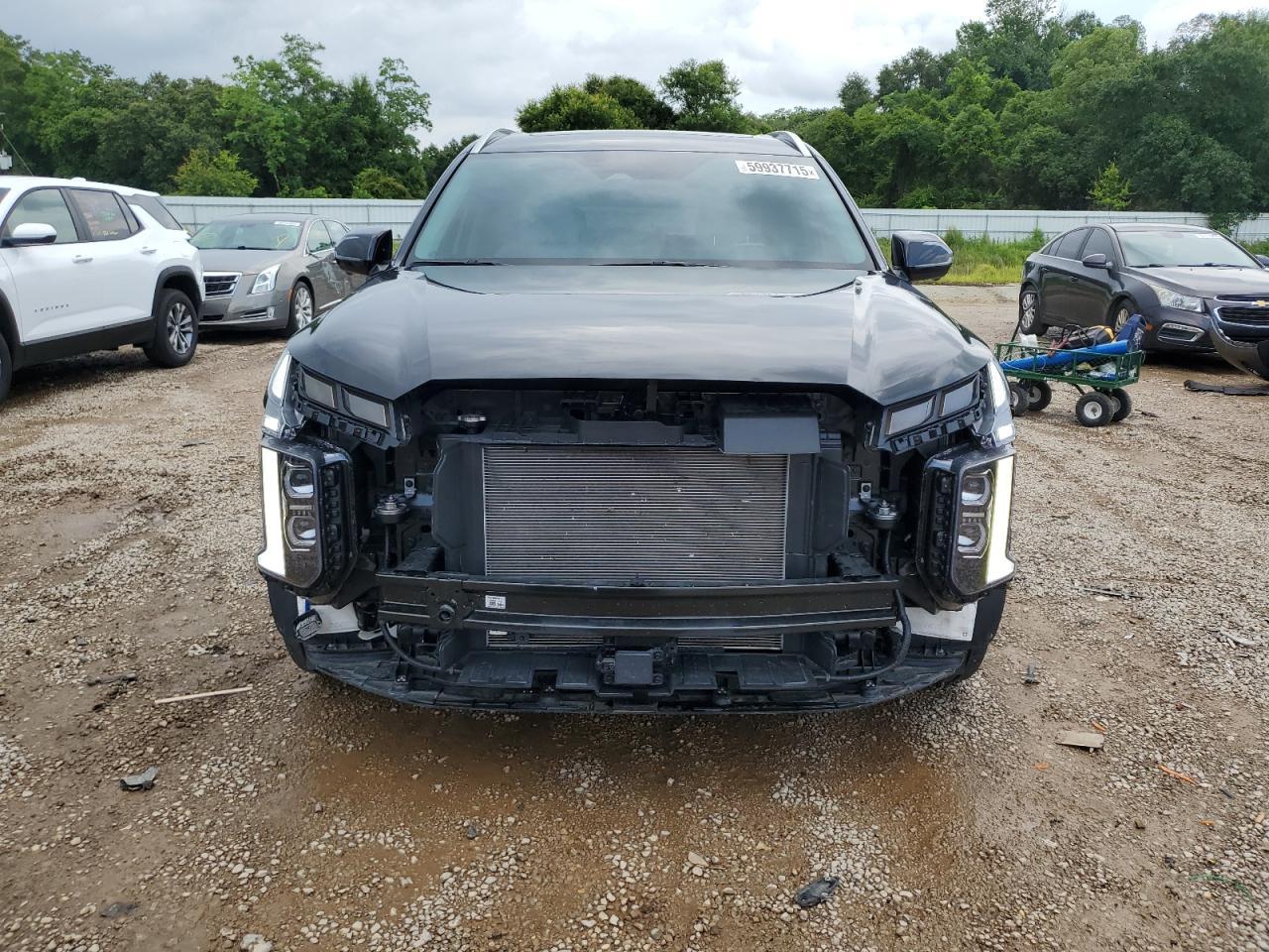 2024 Hyundai Palisade Limited - Фото 5