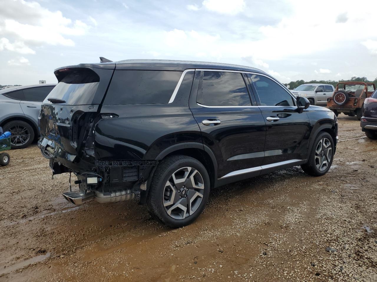 2024 Hyundai Palisade Limited - Фото 3