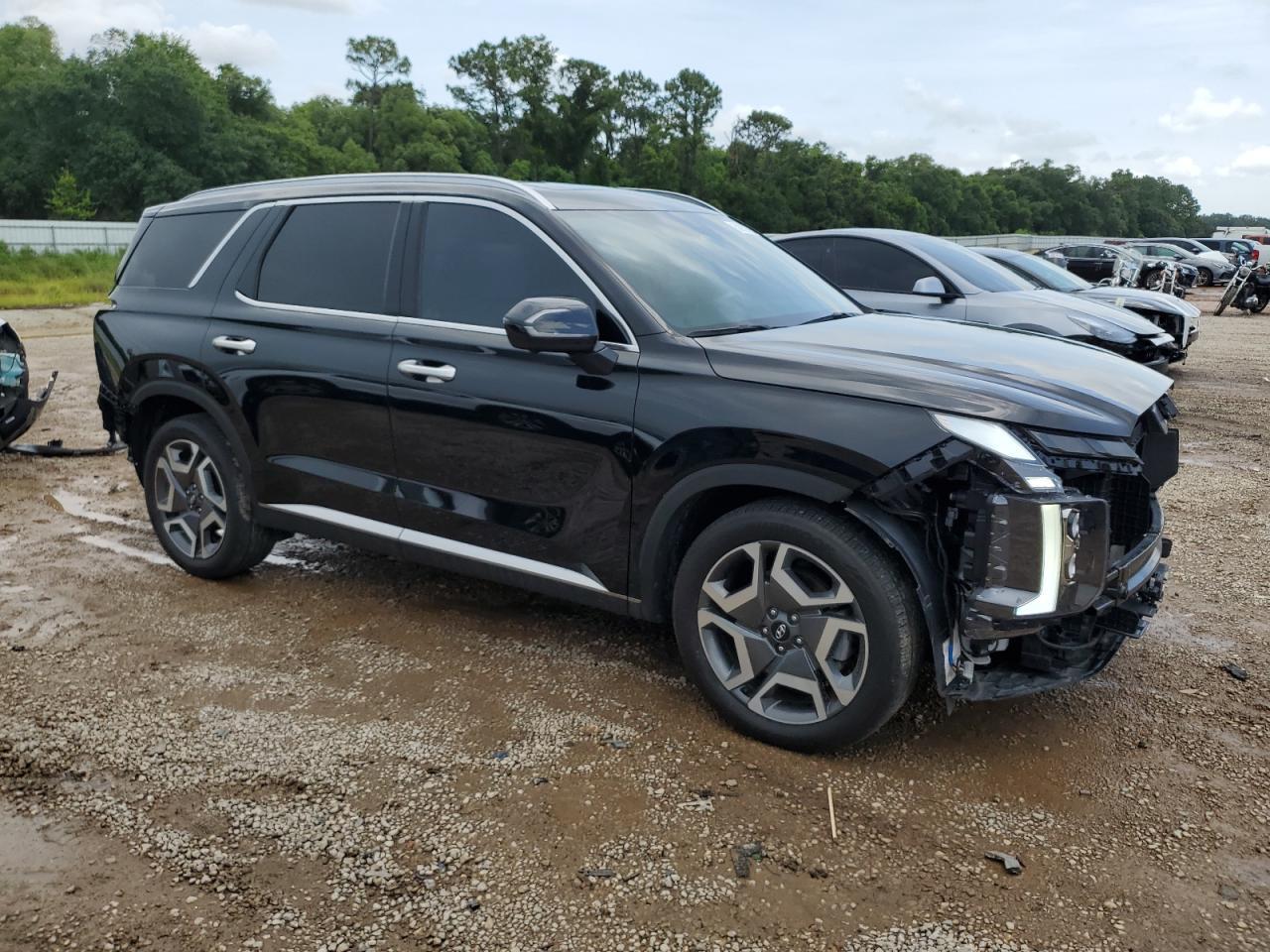 2024 Hyundai Palisade Limited - Фото 4