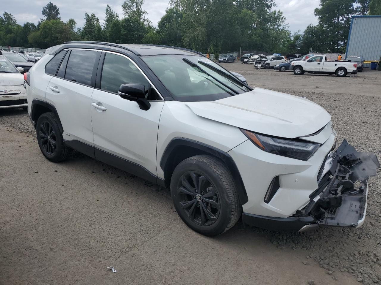 2024 Toyota Rav4 Xse - Фото 4