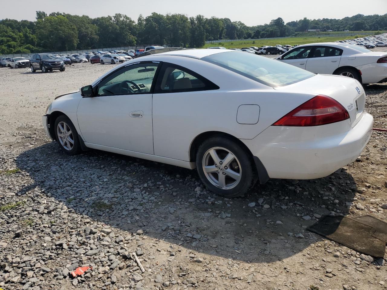 2004 Honda Accord Ex - Фото 2