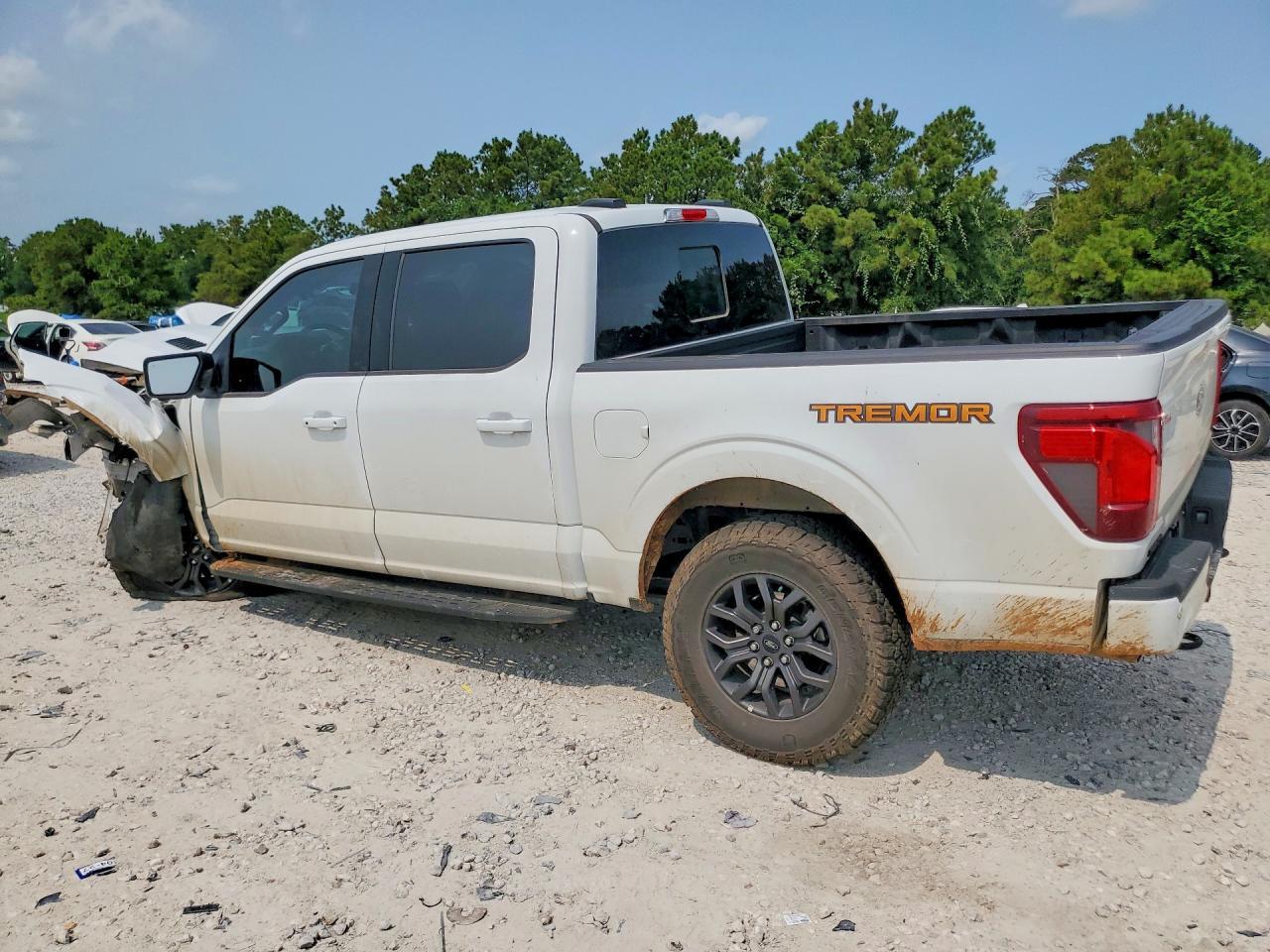 2025 Ford F150 Tremor - Image 2