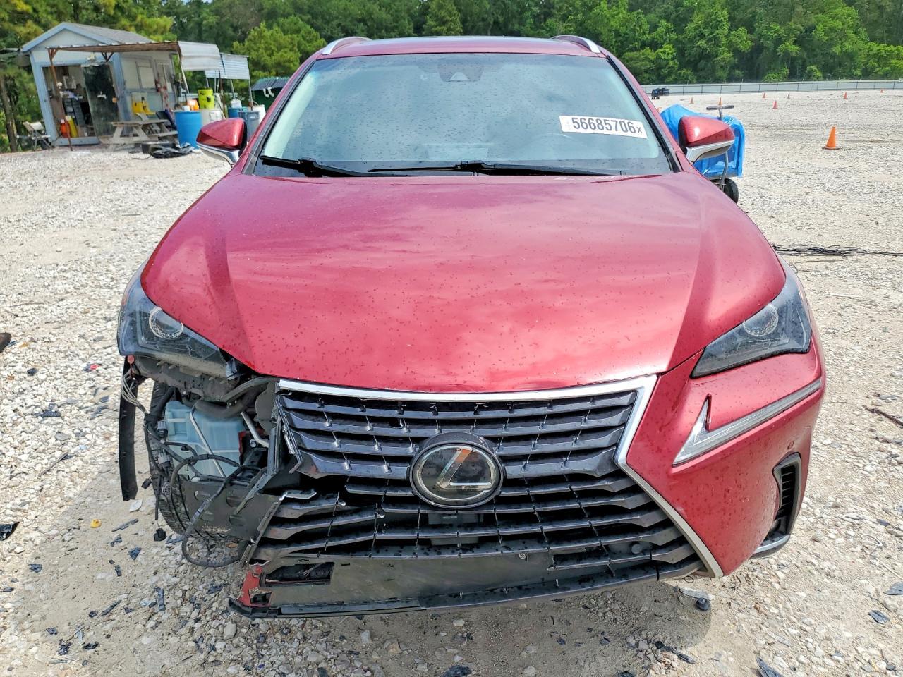 2018 Lexus Nx 300 Base - Фото 5