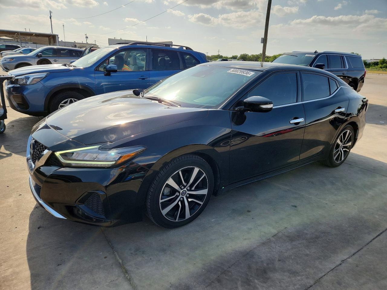 2023 Nissan Maxima Sv