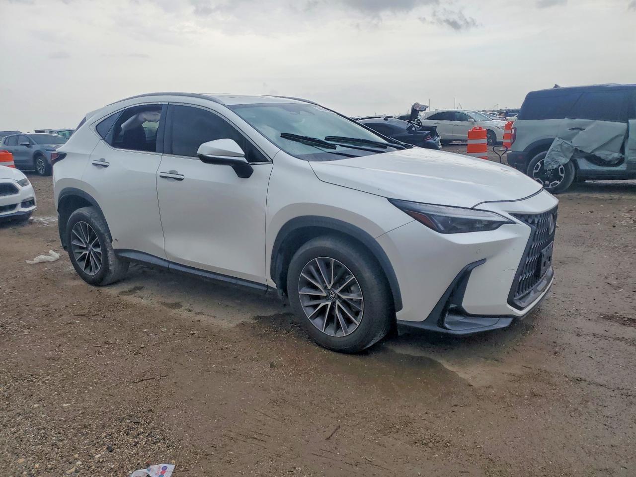 2024 Lexus Nx 250 Premium - Image 4
