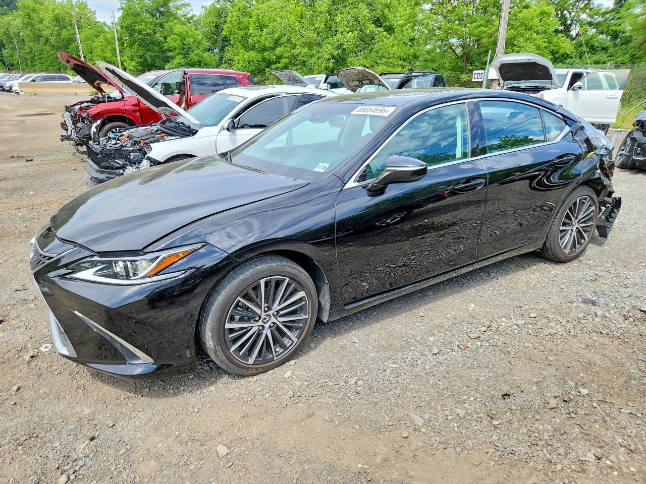 2024 Lexus Es 350 Base