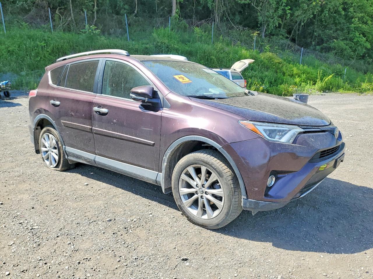 2018 Toyota Rav4 Limited - Фото 4