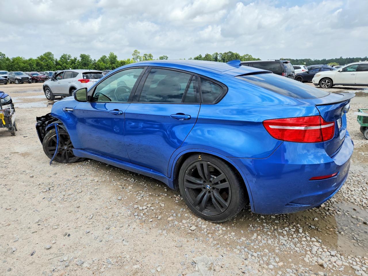 2011 BMW X6 M - Image 2