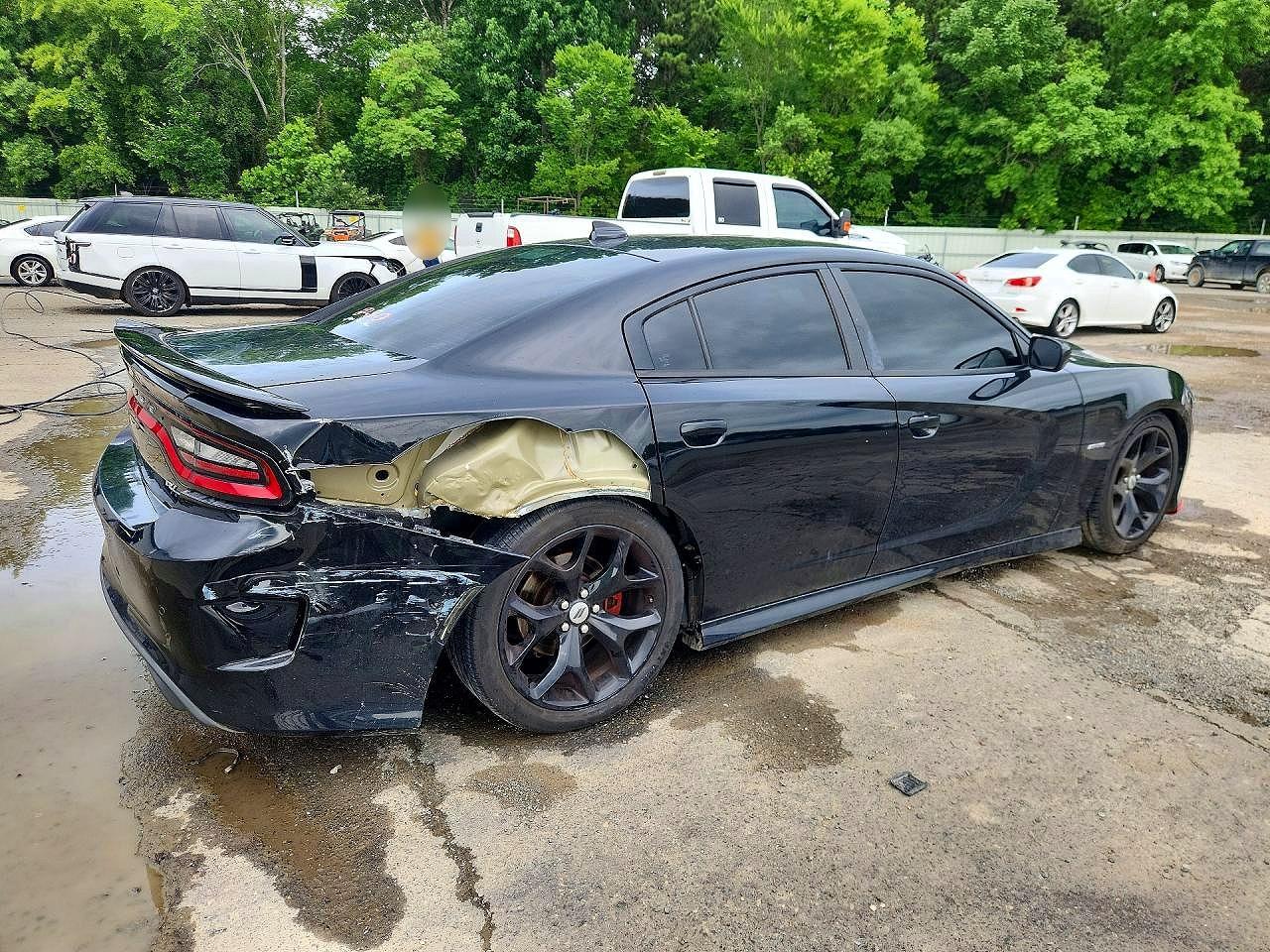 2019 Dodge Charger R/T - Фото 3
