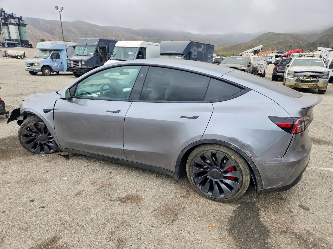 2024 Tesla Model Y - Фото 2