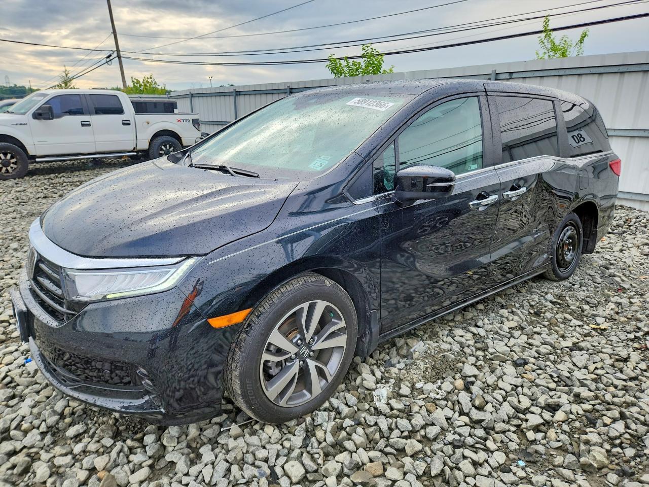 2023 Honda Odyssey Touring