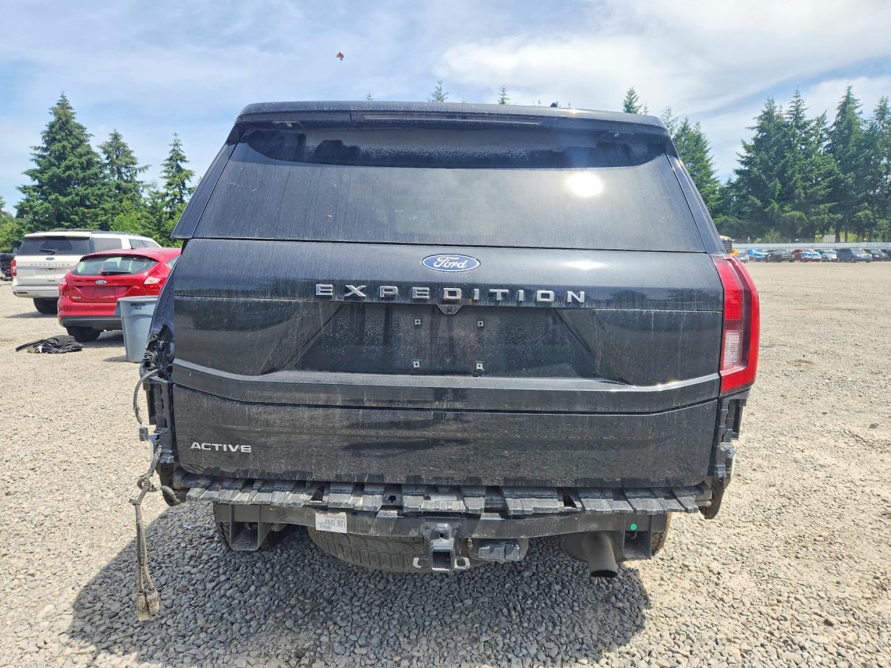 2025 Ford Expedition Active - Фото 6