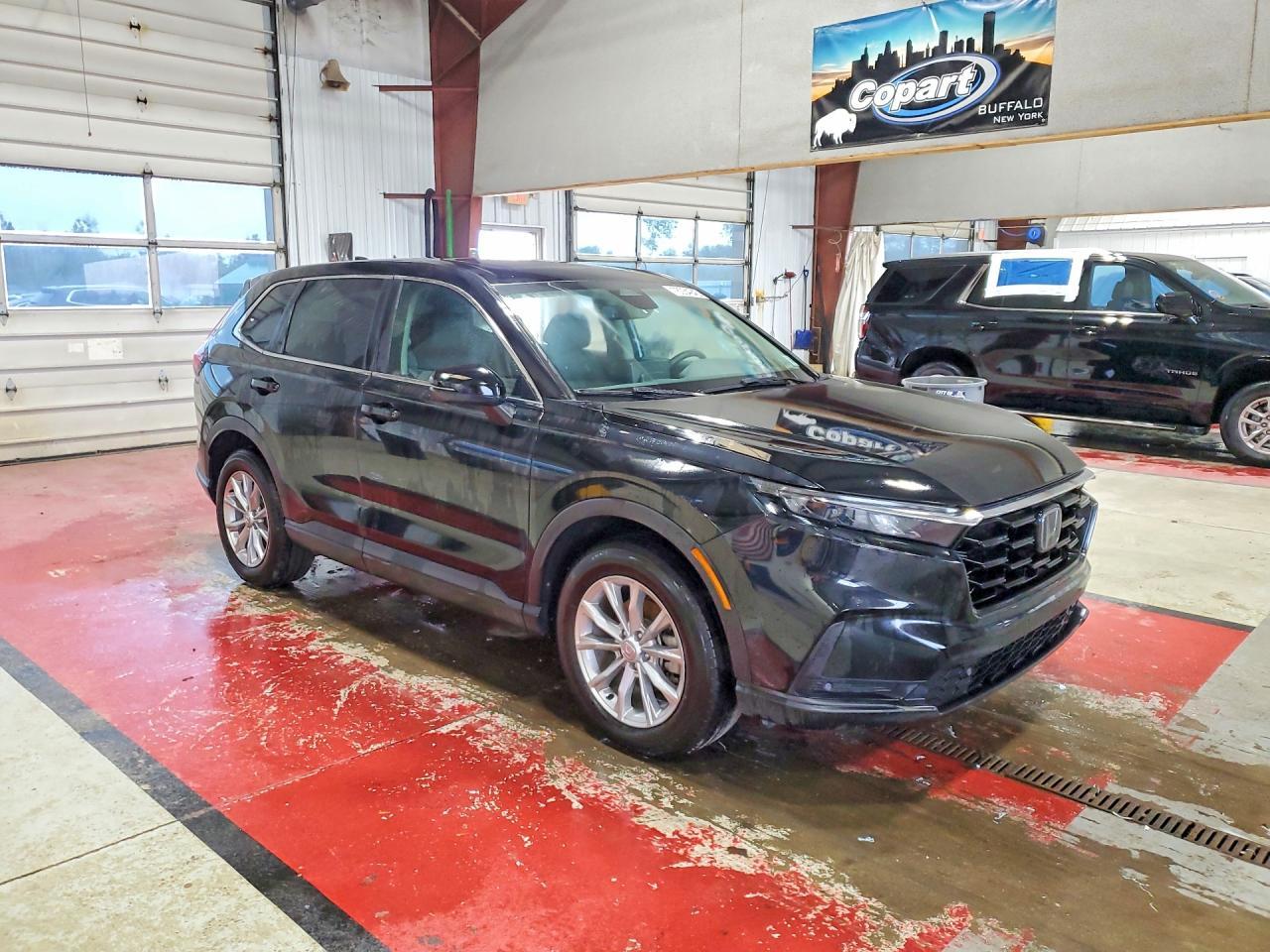 2025 Honda Cr-V Exl - Image 4