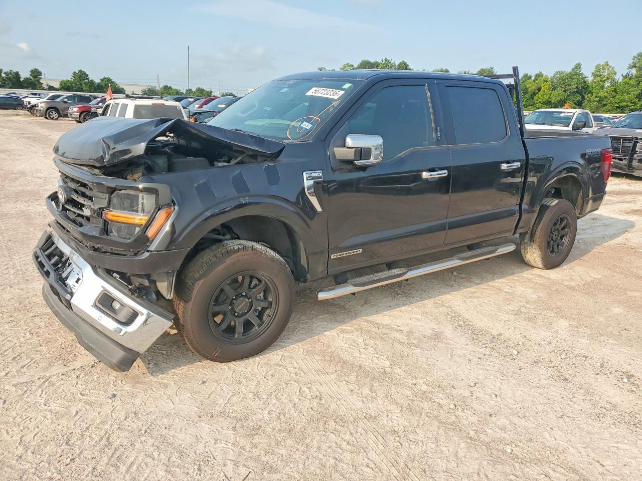 2024 Ford F150 Xlt