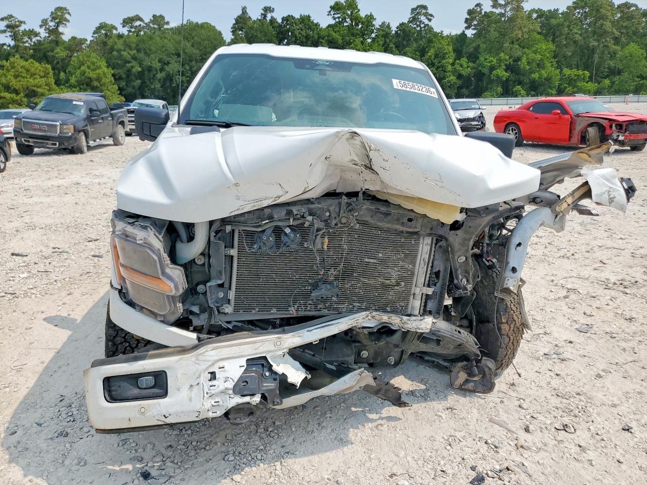 2025 Ford F150 Tremor - Image 5