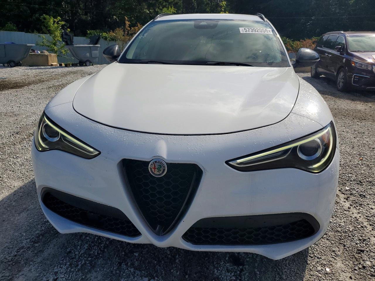 2020 Alfa Romeo Stelvio - Фото 5