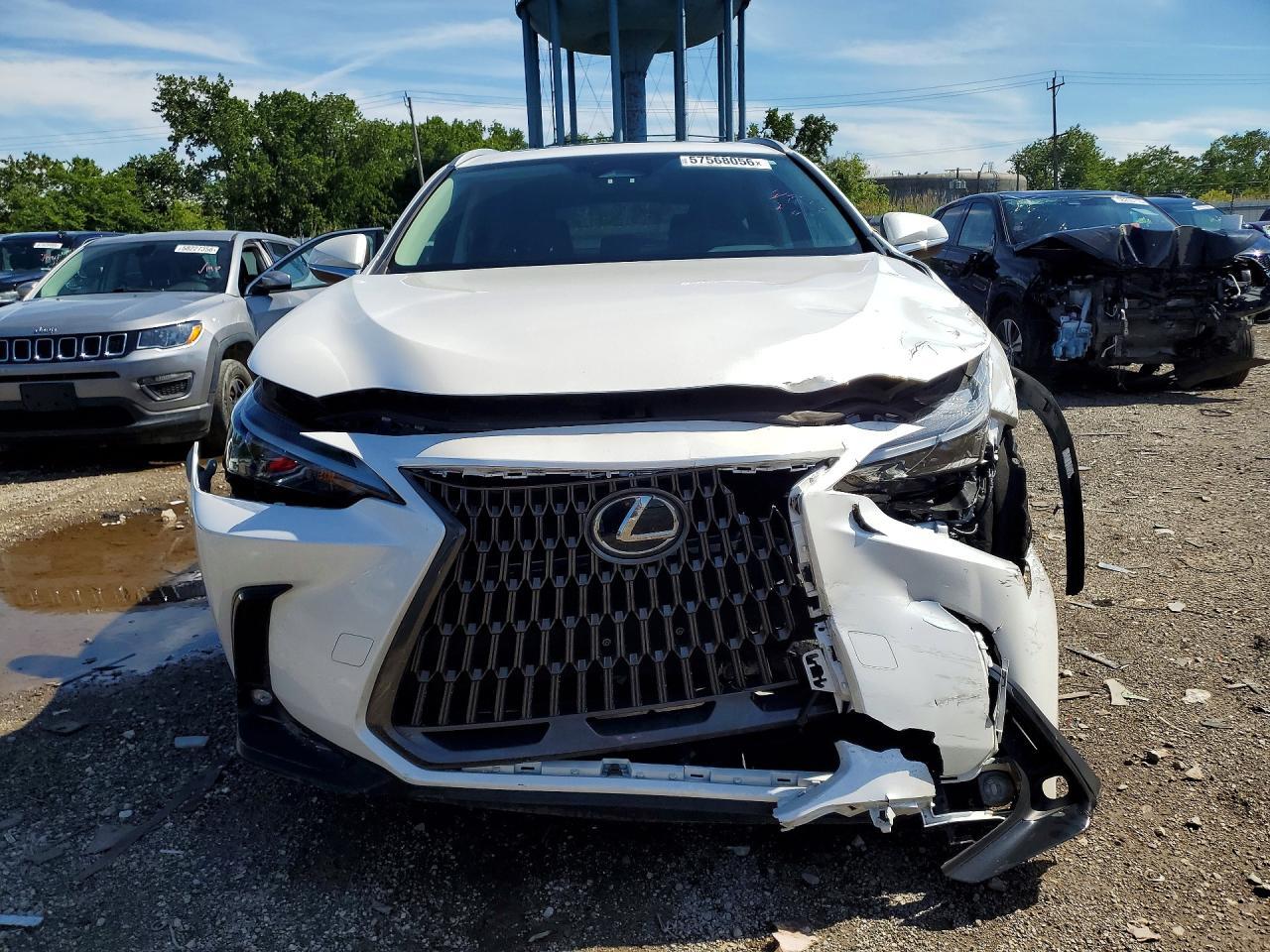 2024 Lexus Nx 350 Base - Фото 5