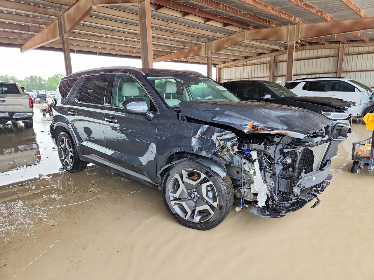 2024 Hyundai Palisade Limited - Фото 4