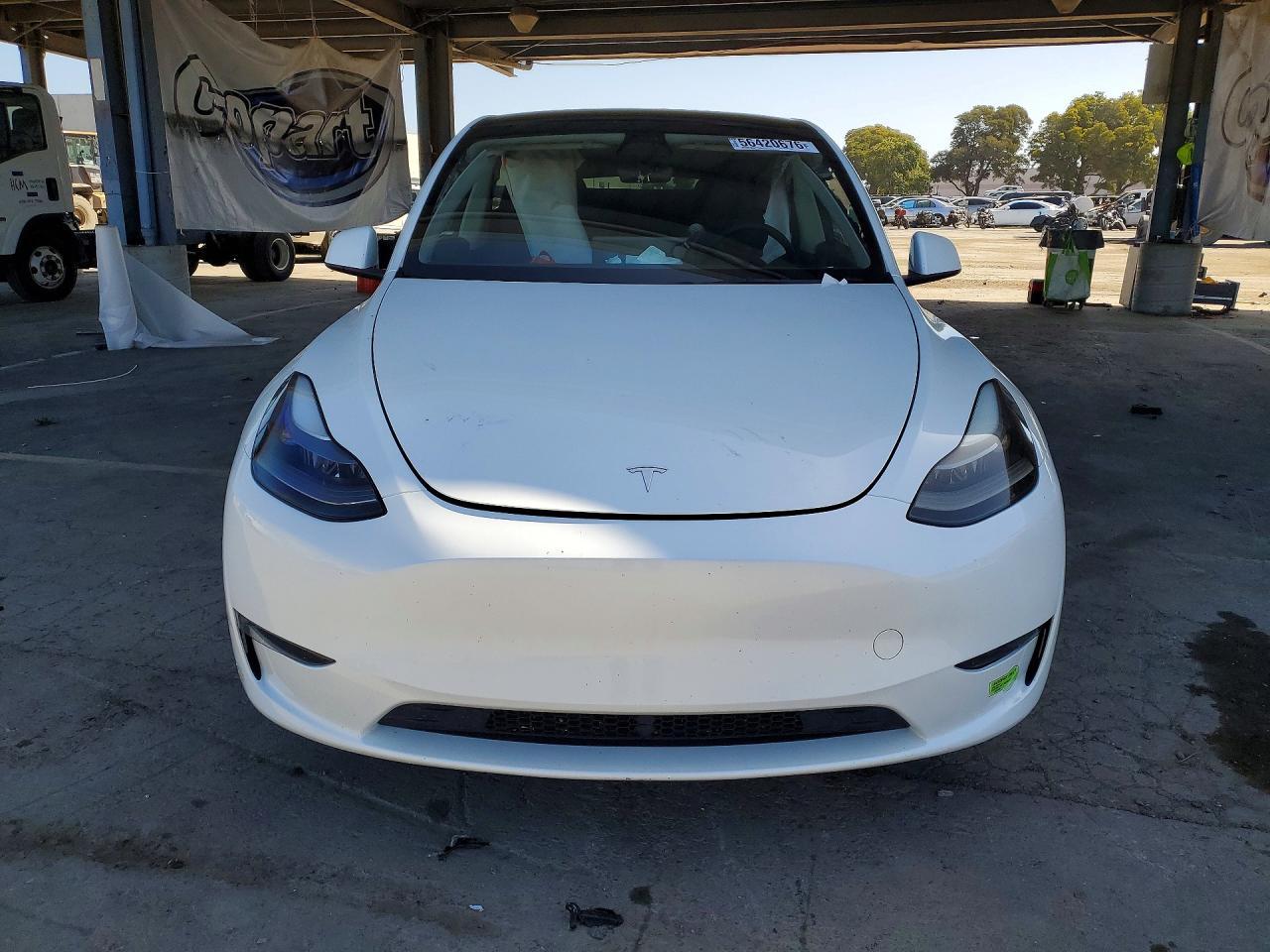 2023 Tesla Model Y - Image 5