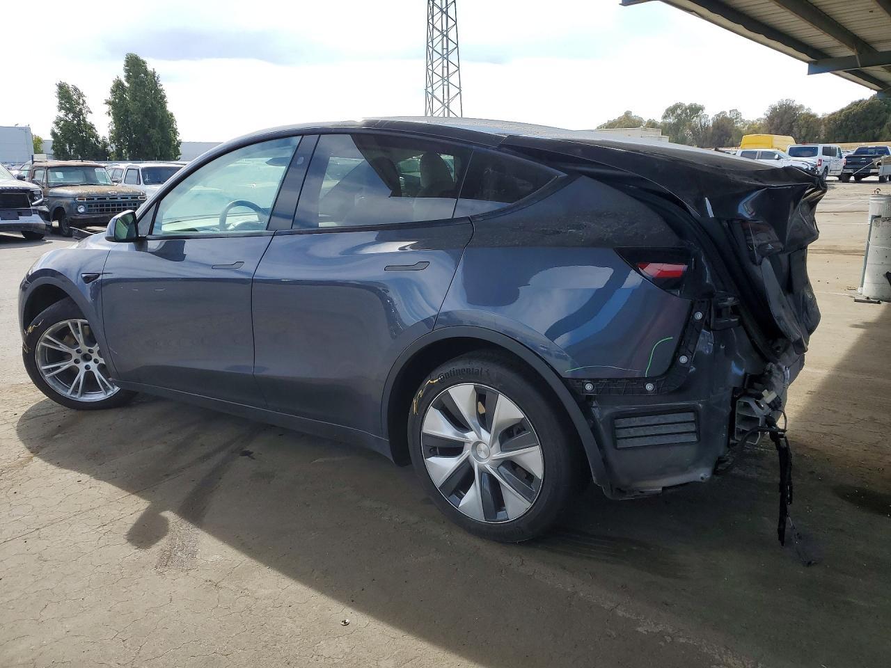 2023 Tesla Model Y - Фото 2