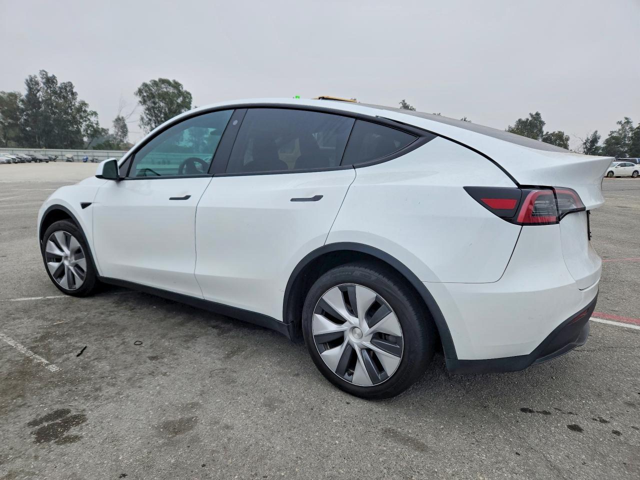 2023 Tesla Model Y - Фото 2
