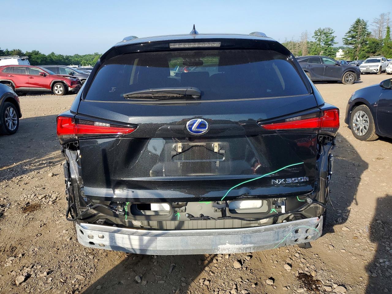 2021 Lexus Nx 300H Base - Фото 6