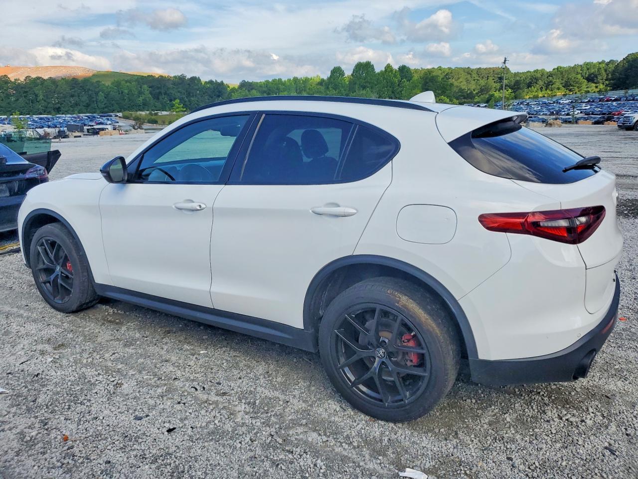 2020 Alfa Romeo Stelvio - Фото 2