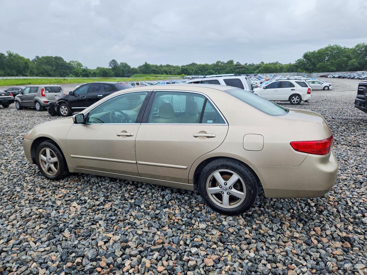 2005 Honda Accord Ex - Фото 2