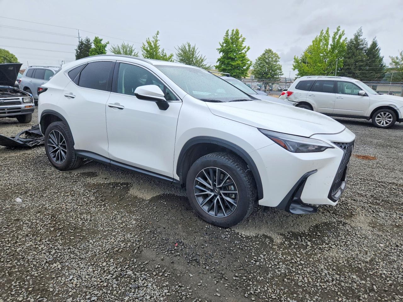 2023 Lexus Nx 350H - Image 4