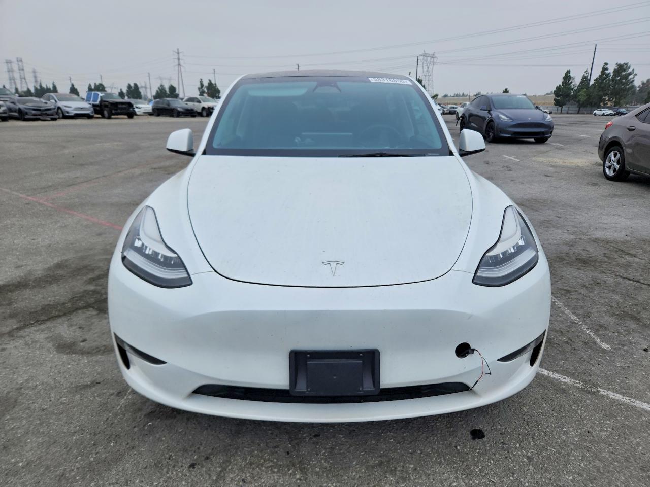 2023 Tesla Model Y - Фото 5
