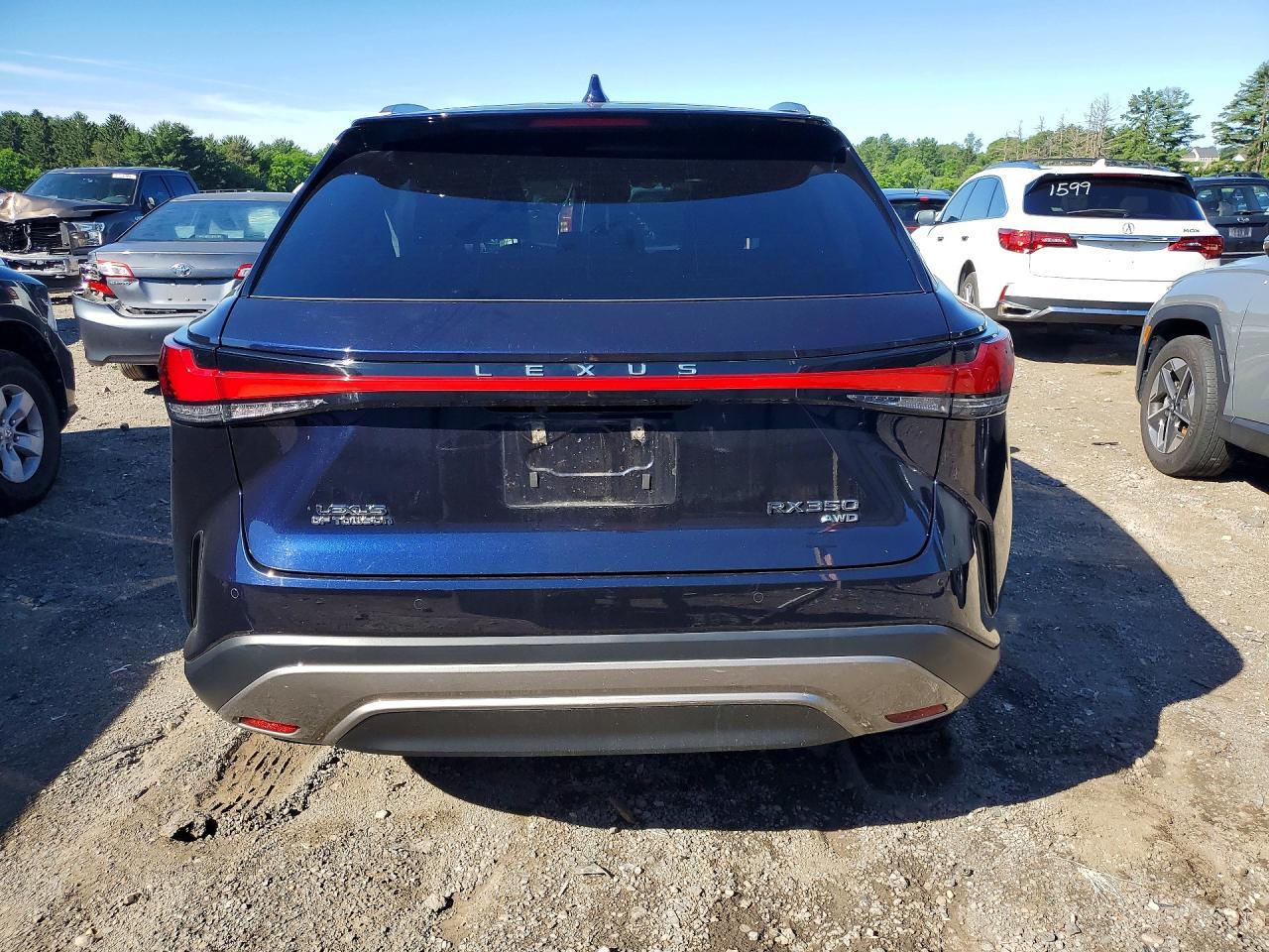 2024 Lexus Rx 350 Luxury - Фото 6