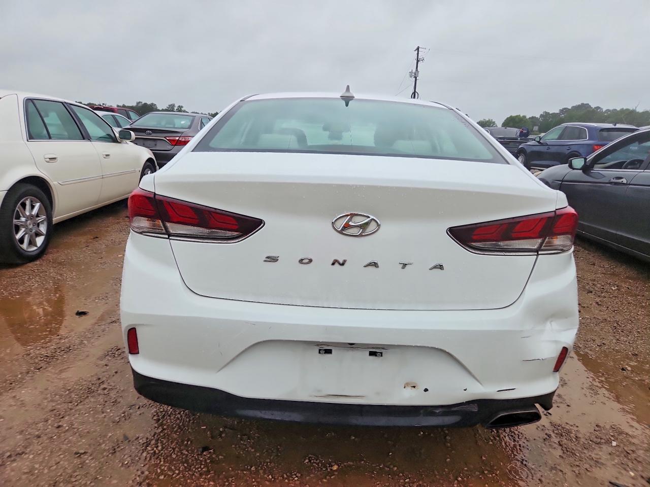 2019 Hyundai Sonata Sel - Image 6