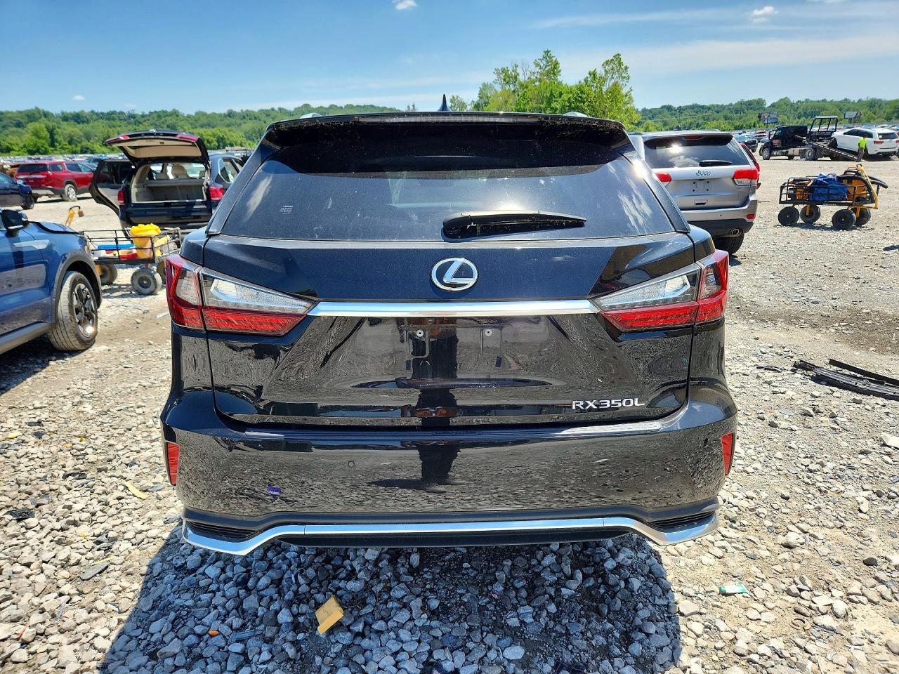 2019 Lexus Rx 350 L - Image 6