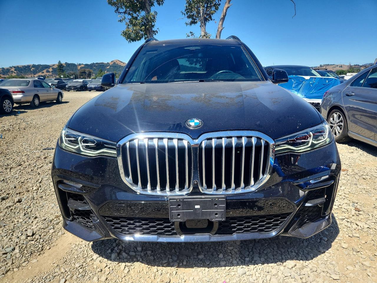 2019 BMW X7 xDrive50I - Фото 5