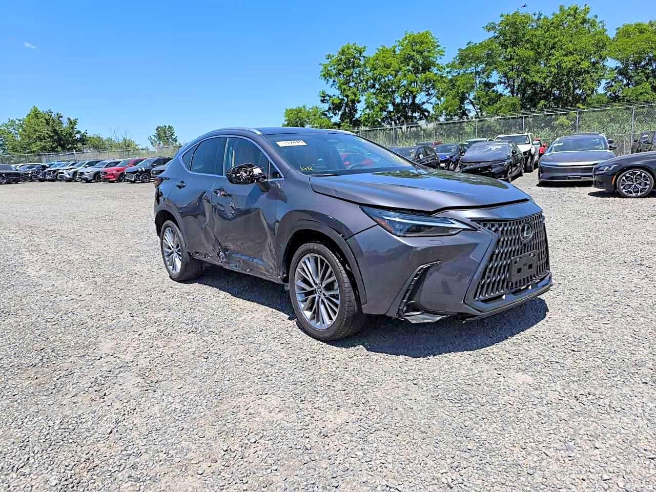 2024 Lexus Nx 350 Luxury - Фото 3