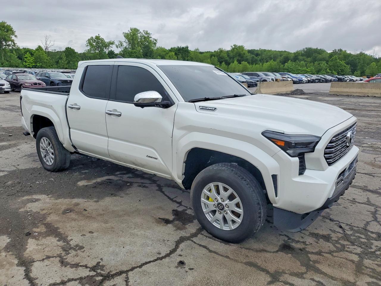 2024 Toyota Tacoma Limited Hv - Фото 4
