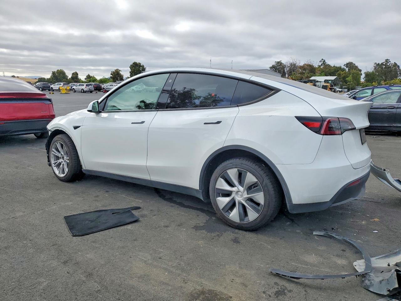 2023 Tesla Model Y - Фото 2