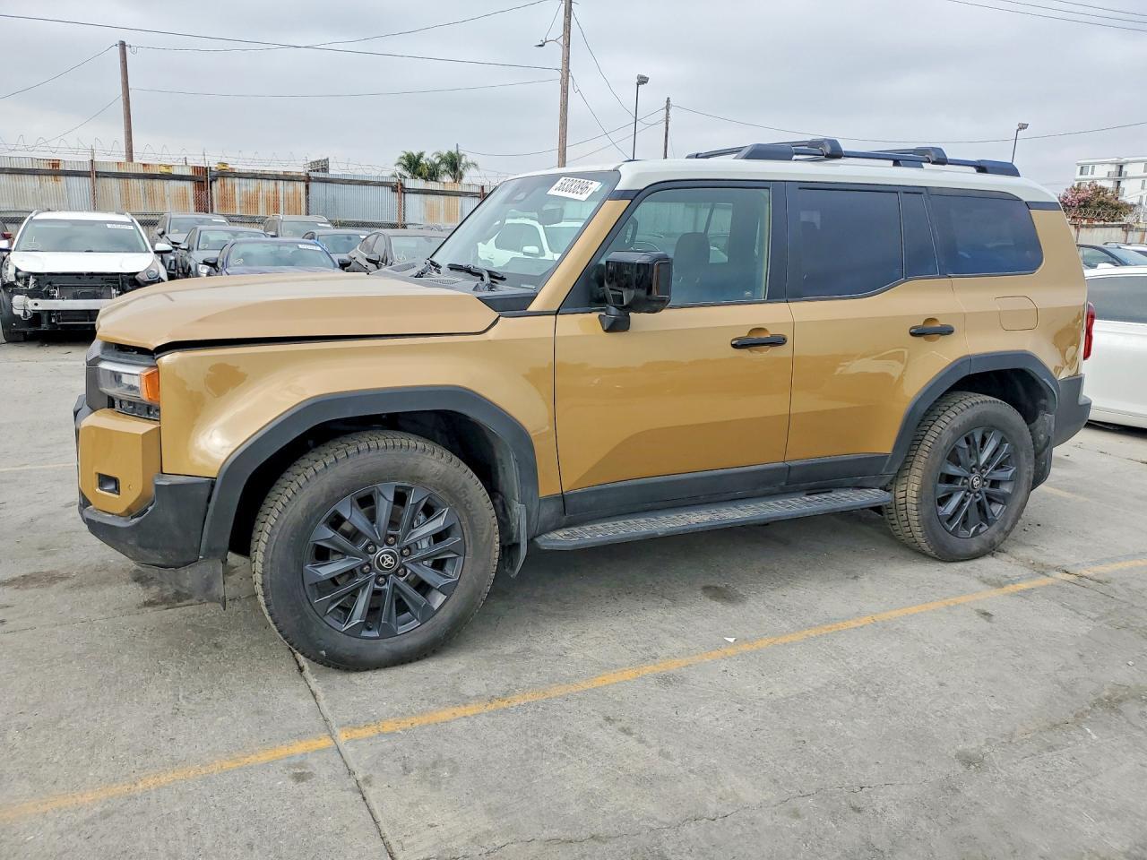 lot