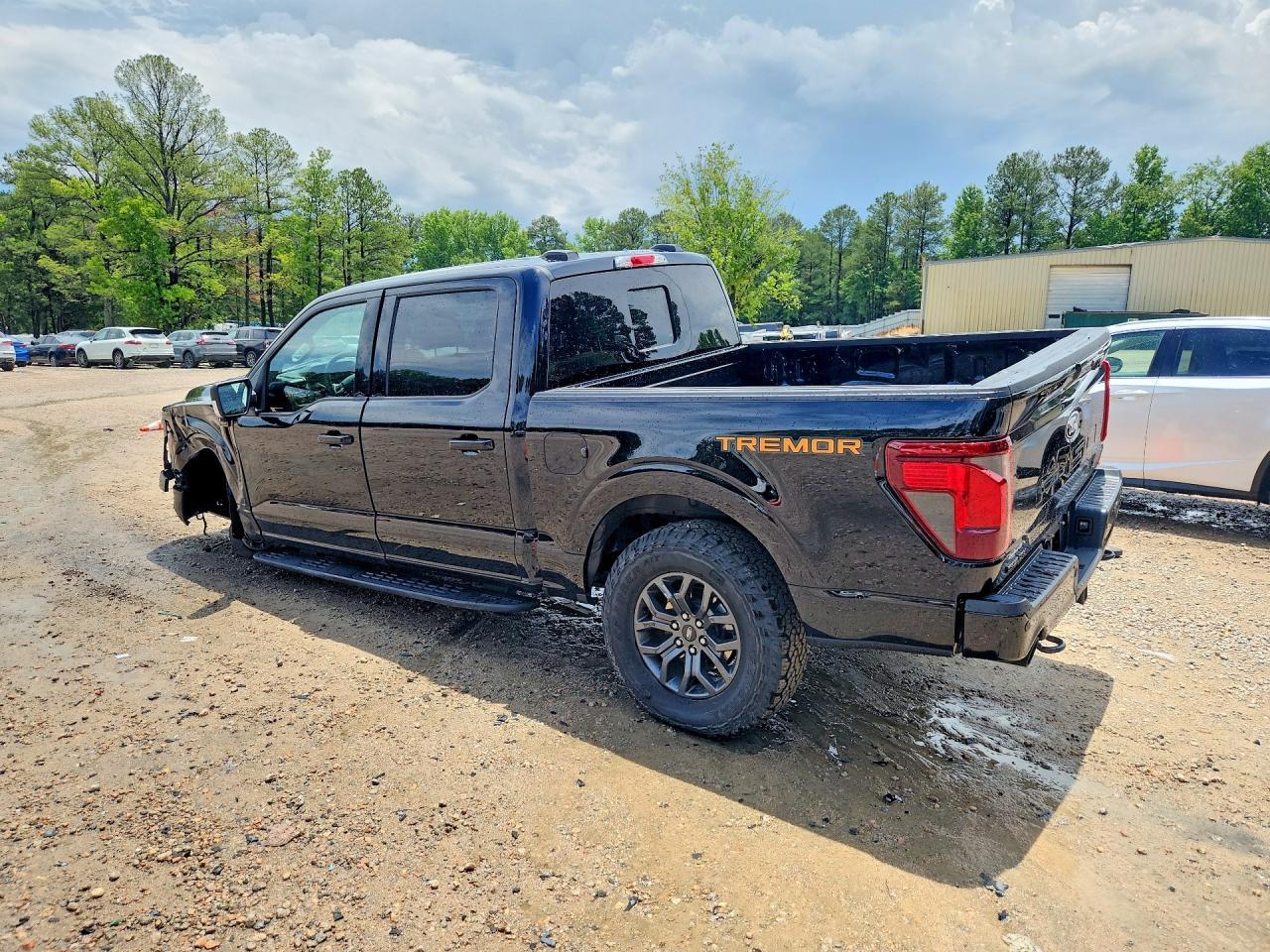 2025 Ford F150 Tremor - Фото 2