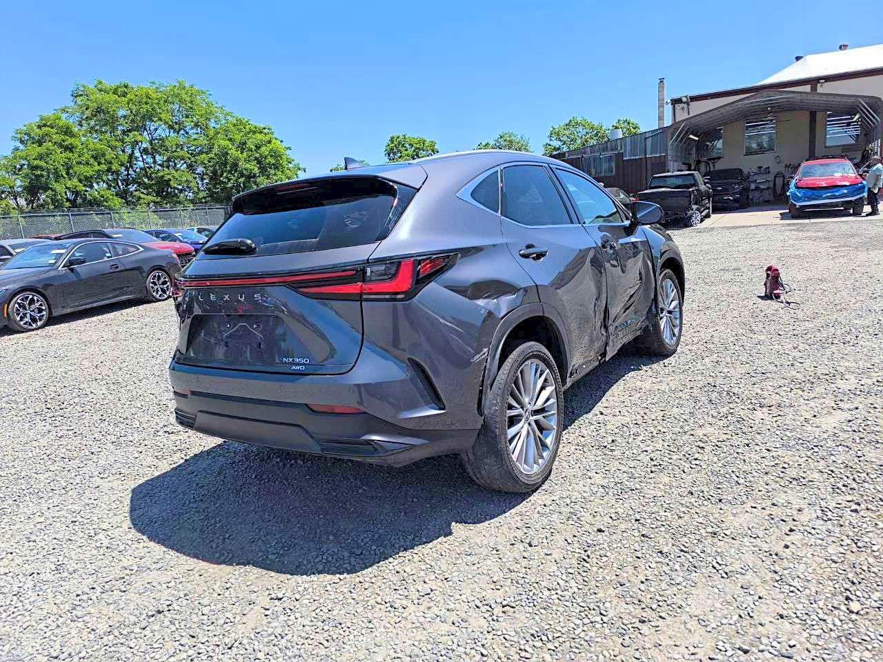 2024 Lexus Nx 350 Luxury - Фото 4